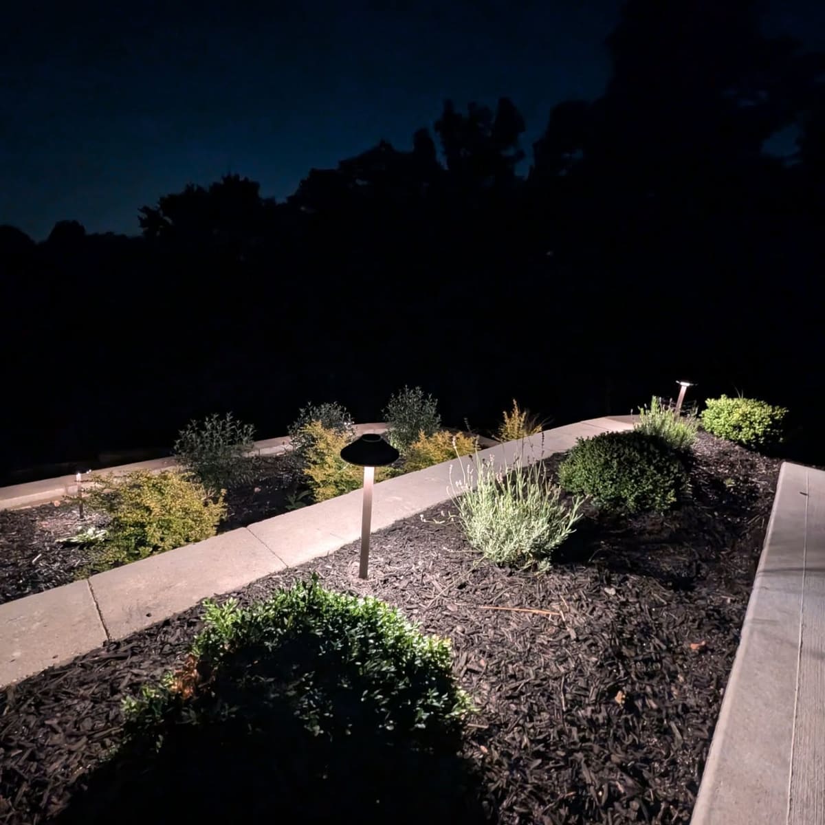 Low path lights lining a sidewalk beside a planting bed in the evening.