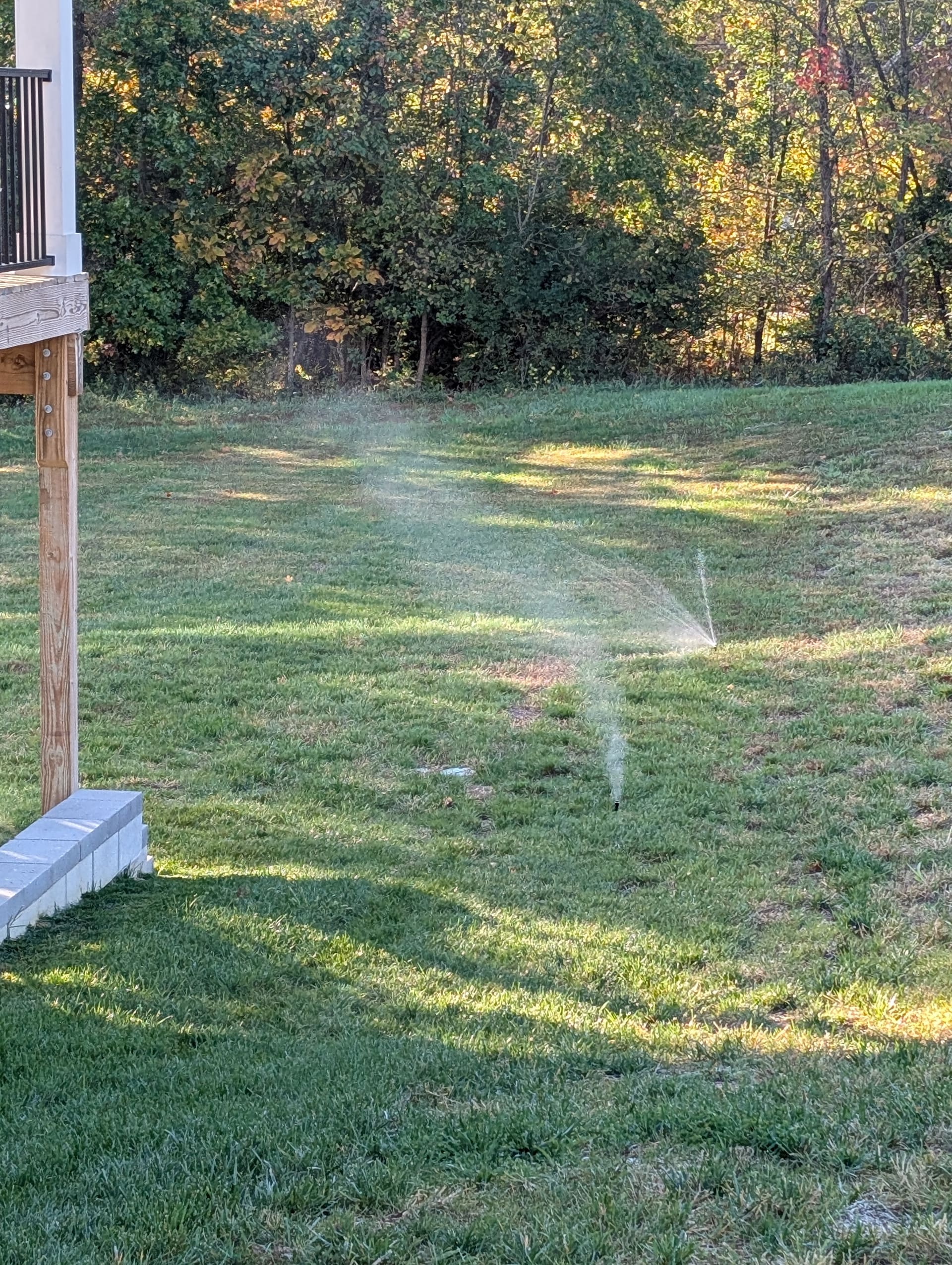 Sprinkler heads running on a lawn in fall, with autumn colour in the tree line behind.