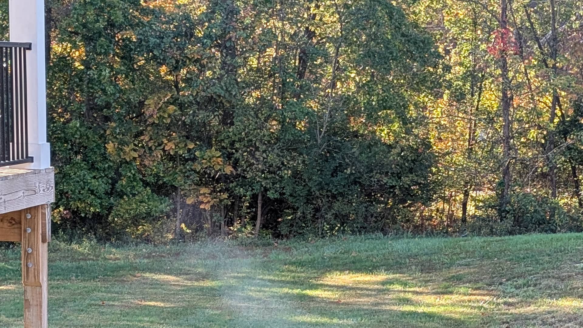Sprinkler heads running on a lawn in fall, with autumn colour in the tree line behind.